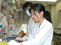 膠原病グループ